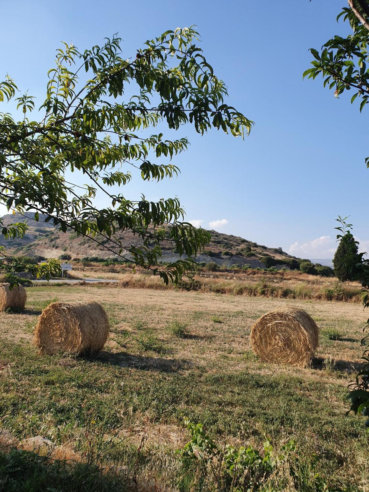 Vina Oliva Resort بيسوري المظهر الخارجي الصورة